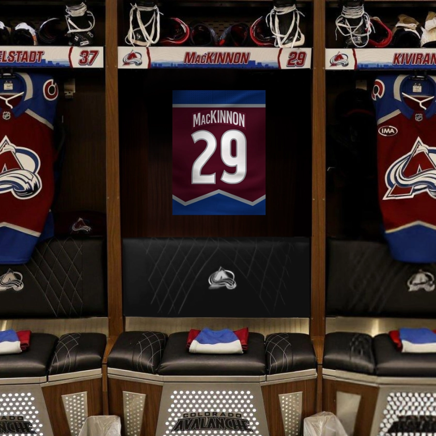 nhl dres na plátně