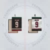 arizona coyotes dres na plátně