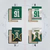 dallas stars dres na plátně