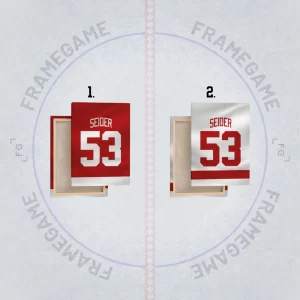 detroit red wings dres na plátně