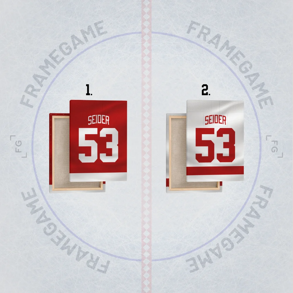 detroit red wings dres na plátně