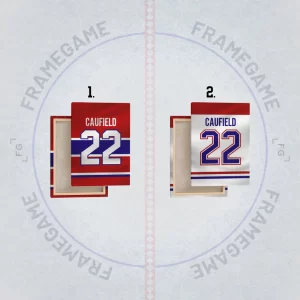 montreal canadiens dres na plátně