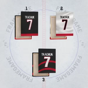 ottawa senators dres na plátně