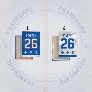 quebec nordiques dres na plátně