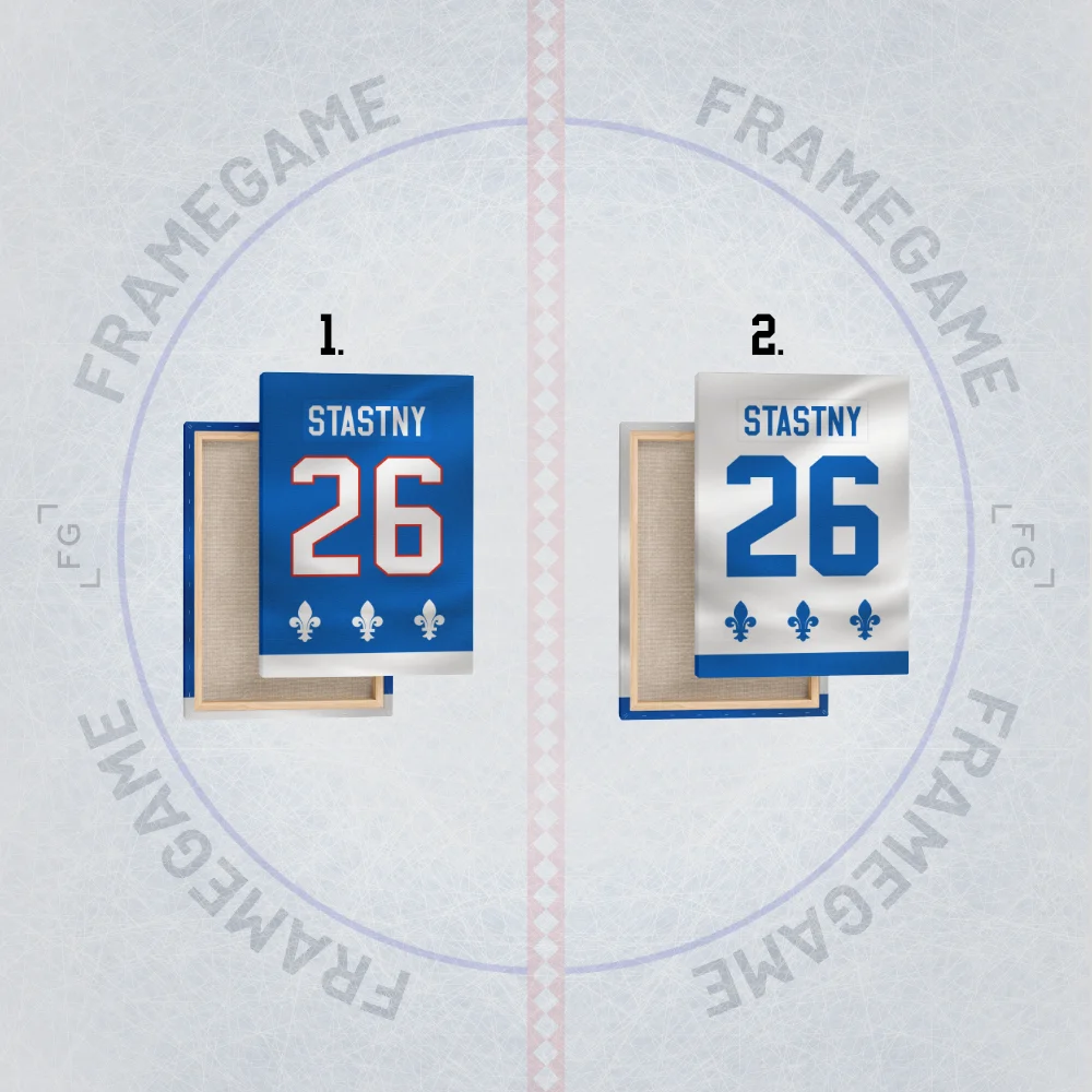 quebec nordiques dres na plátně